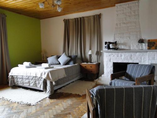 Un dormitorio con una cama y una chimenea. en Hospedaje Amilcar, en Esquel