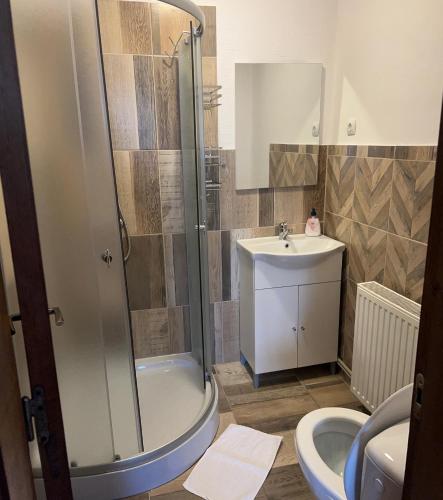 a bathroom with a shower and a sink and a toilet at LIKE HOME in Râşnov