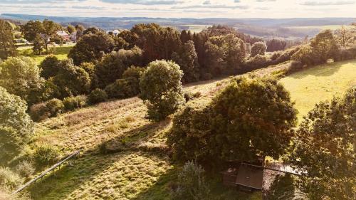 an aerial view of a field with trees at La Vieille Forge B&B in Houffalize