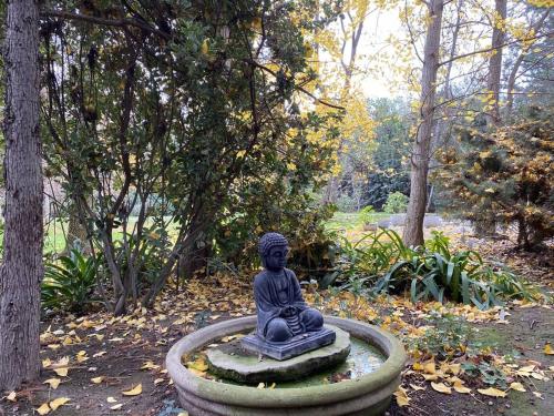 a statue sitting in a fountain in a park at Escape al bosque! - Casa Vintage in San Luis