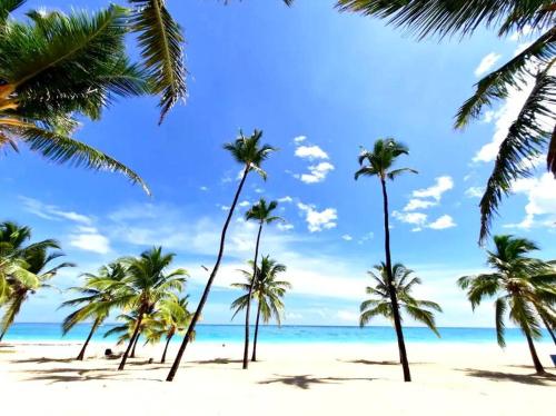 a group of palm trees on a beach at Crea experiencias inolvidables Mini studio in Paraíso