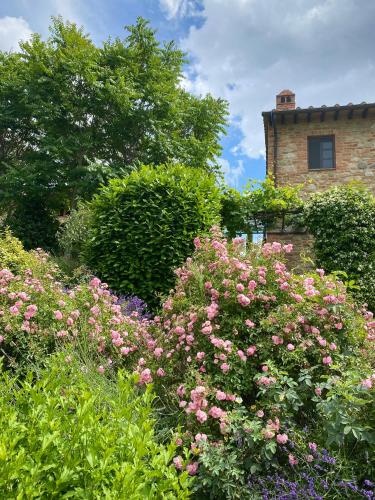 Κήπος έξω από το 2BR 2BA near San Gimignano - Pool,Air Conditioner,Garden,WiFi