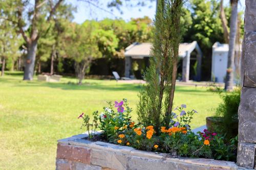 Gallery image of Summerfields & Gardens Lodge in Kitwe