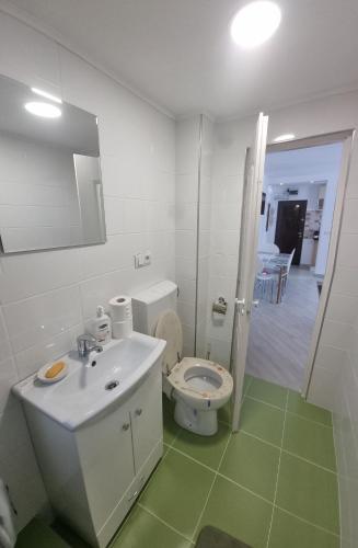 Koupelna v ubytování Cavnic Residence 1