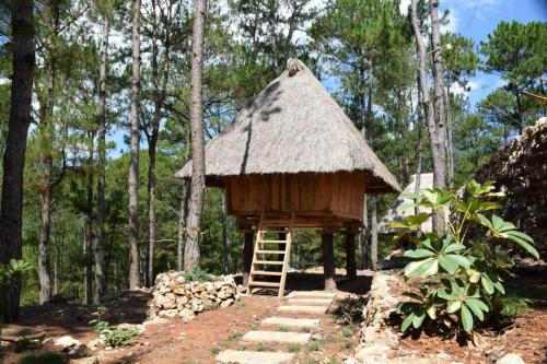 サガダにあるSagada Heritage Villageのギャラリーの写真