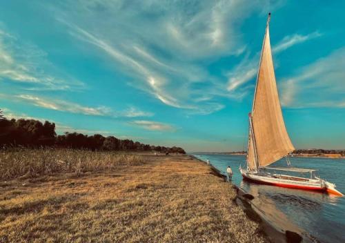 My Dream Nile Felucca