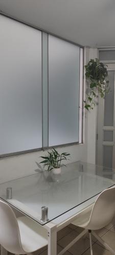a white table with two plants on top of it at Sumaq AirPort in Lima