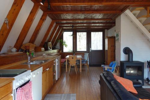 阿伦斯霍普Ferienhaus-Fischlandde Grünbaum Ahrenshoop的厨房以及带沙发和炉灶的客厅。