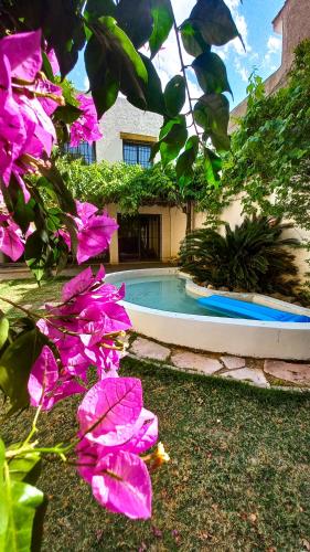 a swimming pool in a yard with pink flowers at Casa Avellaneda I 12 pax - A 6 cuadras Arístides in Mendoza