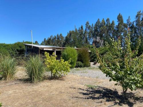 a garden with a house and some bushes and trees at Cabaña en Santo domingo, Humedal el Yali in Colegio de Bucalemu