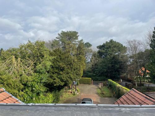 a view of a driveway in a yard with trees at Studio Lickey Hills Near Attractions Garden Pet Ok in Birmingham