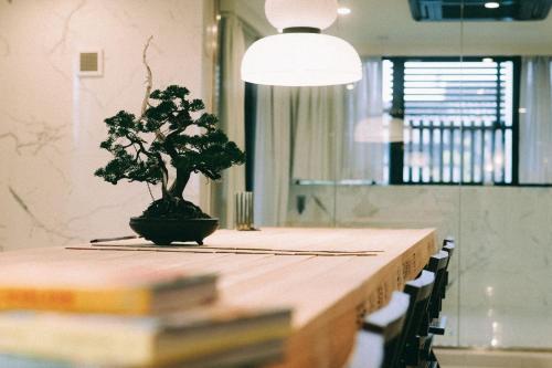 京都市にあるTHE ROOT2 HOTELの鉢植えのテーブル
