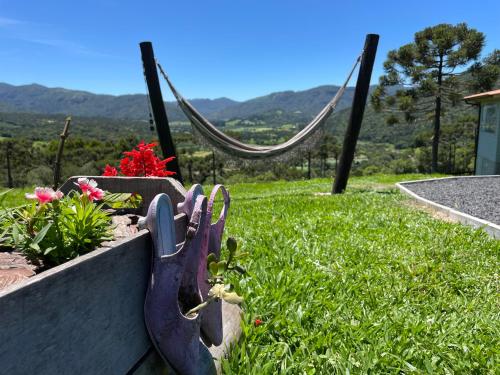 a pair of scissors sitting in a garden with flowers at Chalé Terra Luni in Urubici