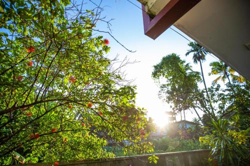 a view of the sun shining through the trees at Turtle Lamp in Unawatuna