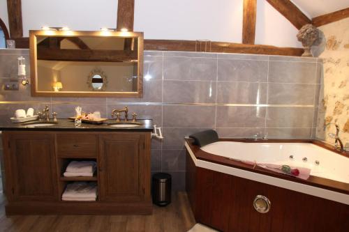 a bathroom with a tub and a sink and a mirror at Duo Détente in Le Chenoy