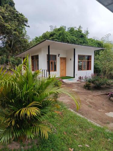 a small white house in the middle of a yard at CABAÑAS GOLDEN TANAGER in Mindo