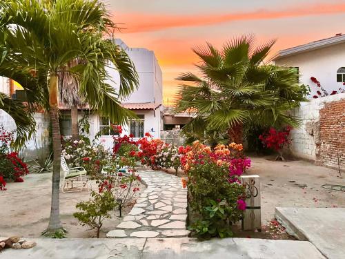 a garden with flowers and palm trees and a sidewalk at Habitación #1 a dos cuadras del Malecón in La Paz