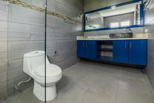 a bathroom with a toilet and a sink and a mirror at Mango y Jobo - Relaxed Mountain & Sea Panoramic view - 10mins drive to beach and city in San Felipe de Puerto Plata