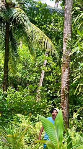 a man is standing in the jungle near a palm tree at Diamond Island Eco Resort in Pulau Palambakbesar