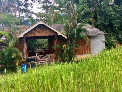 a small house in a field of tall grass at Mukakee 3-4 in Ban Sop Mae Klang