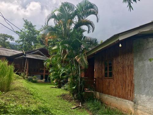 a palm tree in front of a house at Mukakee 3-4 in Ban Sop Mae Klang