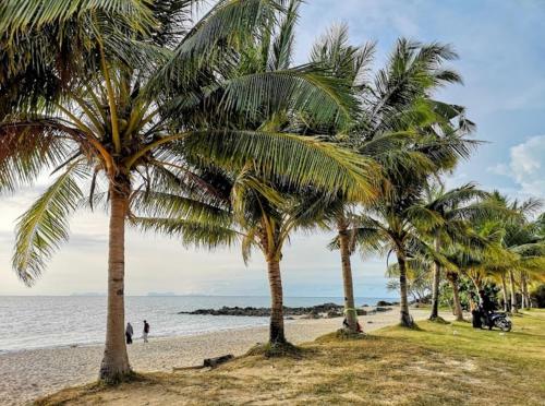 a group of palm trees on a beach at Peace Lanta Mansion in Ko Lanta