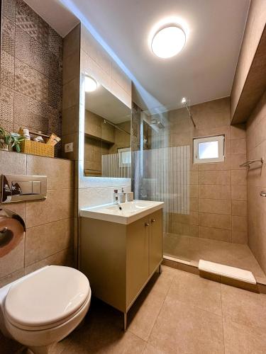 a bathroom with a toilet and a sink and a shower at AGOLL Centru - self checkin in Reşiţa