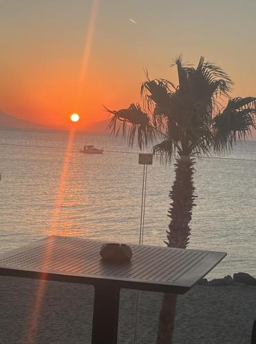 a table on the beach with a palm tree and the sunset at NISSEA Boutique Hotel in Kardamaina
