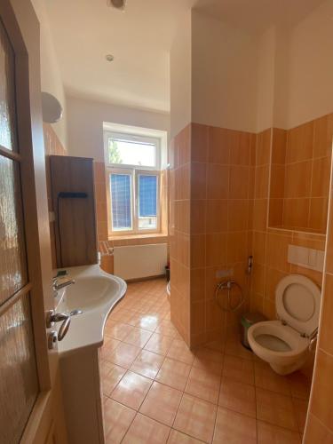 un baño con inodoro y lavabo en Apartments Zahradní, en Karlovy Vary