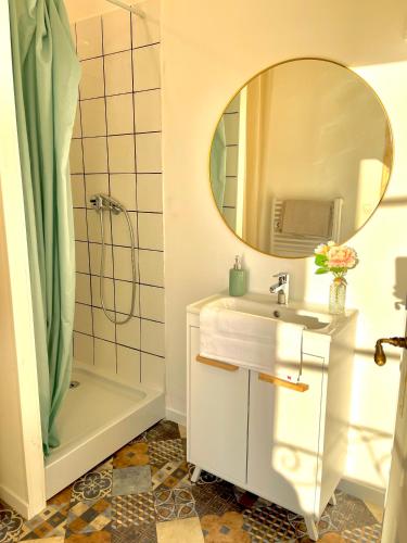 une salle de bain avec un lavabo, une douche et un miroir dans l'établissement Le Repos Poitevin Studio Atypique, à Vivonne