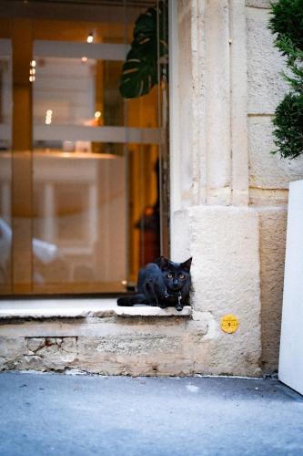 Hôtel Vendome Saint-Germain photo 37