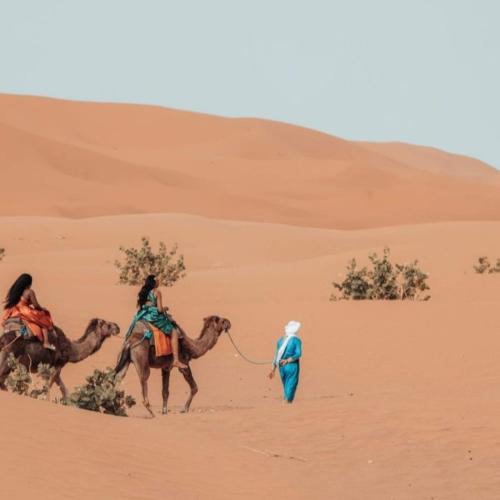 Hosté ubytování unique Sahara Camp
