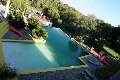 an overhead view of a swimming pool with palm trees at Studio 2 à 4 pers in Grans