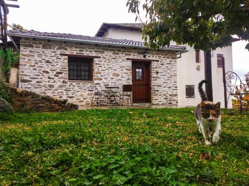 Κατοικίδιο ή κατοικίδια επισκεπτών που μένουν στο San Lorenzo Cottage - Παραδοσιακά Πέτρινα Δωμάτια