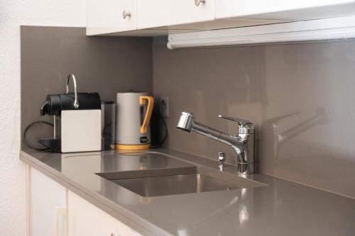 a kitchen counter with a sink and a coffee maker at Apartment Soleil in Le Châble