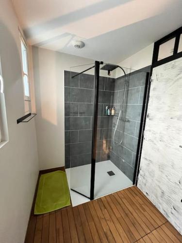 La salle de bains est pourvue d'une douche avec un tapis vert. dans l'établissement Maison rénovée haut de gamme de centre-ville, à Saint-Berthevin-sur-Vicoin