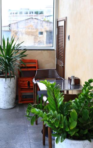 a room with plants and a table and a window at Hato Saigon Boutique Hotel & Rooftop in Ho Chi Minh City