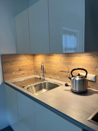 czajnik do herbaty na blacie obok zlewu w obiekcie Apartment Ploner w mieście Ainet