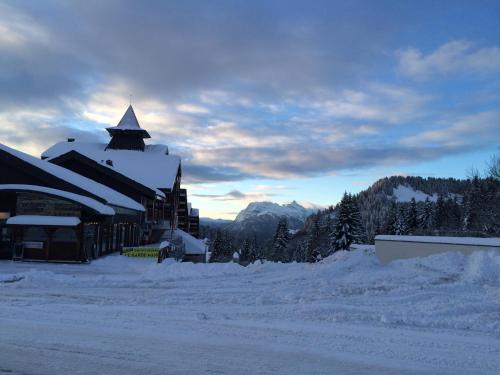 冬のAppartement Le Praz De Lysの様子