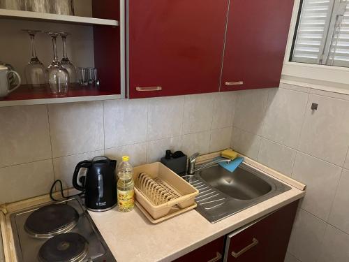 Una encimera de cocina con fregadero y microondas. en TripleA Sr apartments, en Belgrado