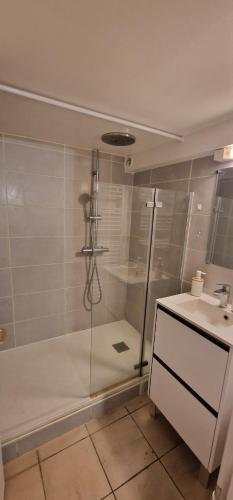 a bathroom with a shower and a sink at Charmant Studio et Mezzanine de 38 m2 in Châteaudun