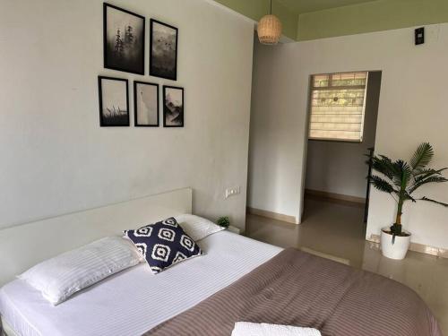 a bedroom with a bed and a potted plant at Ozone Pvt Studio Apt with Balcony in Koregaon Park Near Osho Ashram in Pune