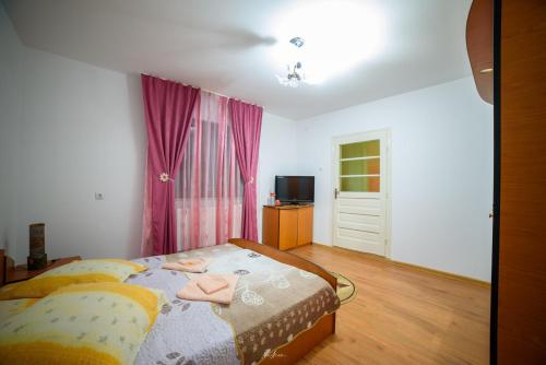 Ένα ή περισσότερα κρεβάτια σε δωμάτιο στο Casa Andreea