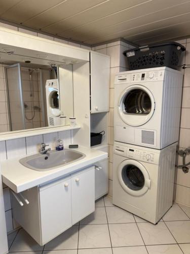 a bathroom with a washing machine and a sink at Projektunterkunft Wörth nähe MIRO - Mercedes Benz - Dachser in Wörth am Rhein