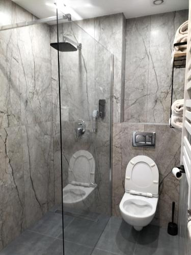 a bathroom with a toilet and a glass shower at Pokoje Gościnne Tessa in Chełm