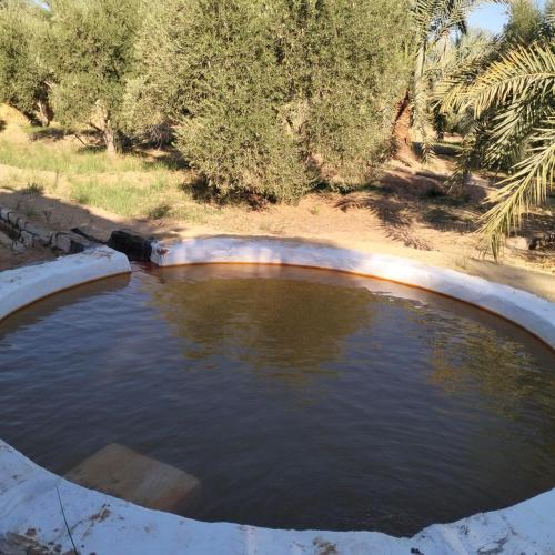 a large pool of water in a yard at La Siwa in Siwa