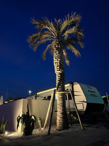 a palm tree with a ladder next to a rv at OCEAN FRONT TATEYAMA - Vacation STAY 35718v in Tateyama