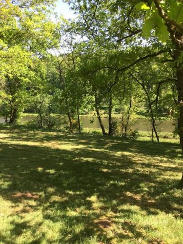 a park with trees and grass and a body of water at Au vert chez Diane in Sparsbach