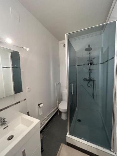 une salle de bain avec une douche en verre et des toilettes dans l'établissement Le Refuge Châlonnais - City Centre, Wifi, Parking, à Châlons-en-Champagne