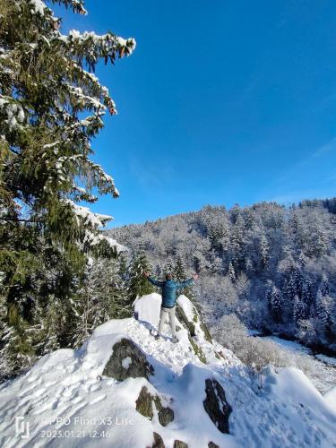 a person standing on top of a snow covered mountain at Maison Aunais in Mormont-La-Grande